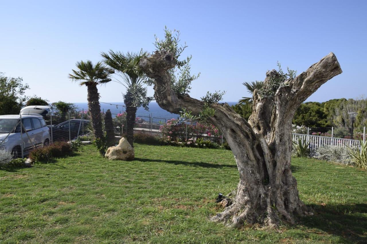 Cocciu D'Amuri Terrasini Exteriér fotografie