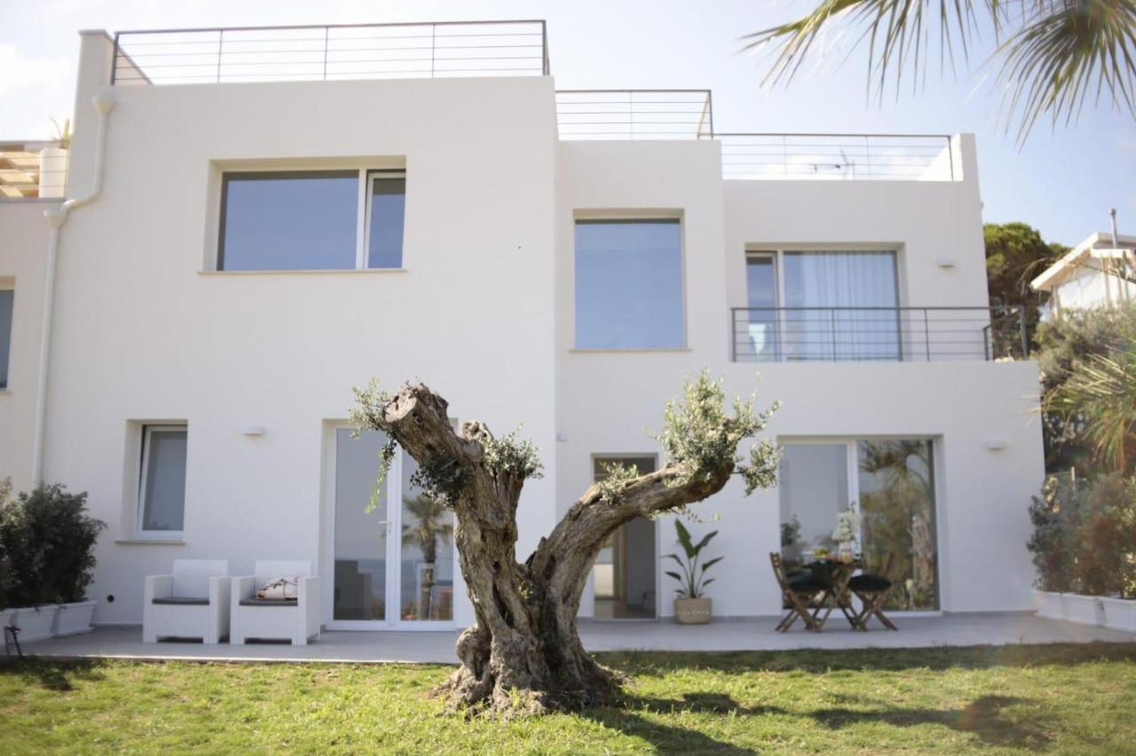 Cocciu D'Amuri Terrasini Exteriér fotografie