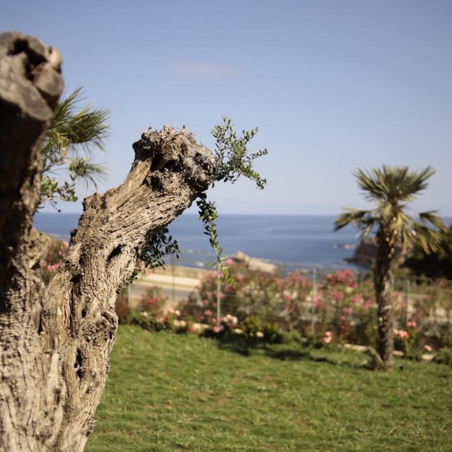 Cocciu D'Amuri Terrasini Exteriér fotografie