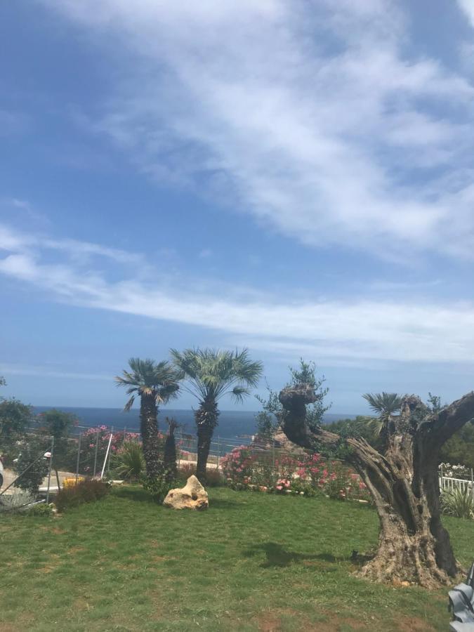 Cocciu D'Amuri Terrasini Exteriér fotografie