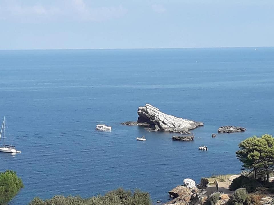 Cocciu D'Amuri Terrasini Exteriér fotografie